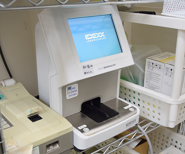 スナップショット